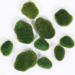 20-Piece Assorted Artificial Moss Rocks for Floral Arrangements, Fairy Gardens, Terrariums, Crafting - Buy Online on GoSupps.com