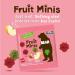 BEAR Fruit Minis DUO 18 Packs per Box- Healthy Fruit Snacks Apple & Strawberry Flavour 100 Grams - Buy Online on GoSupps.com