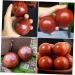 Gleavi 4-Piece Solid Wood Massage Balls Set | Acupressure & Foot Massager | Stress Relief & Improved Circulation - Buy Online on GoSupps.com