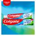  Colgate Colgate Triple Action Toothpaste 12 Packs of 75 ml | Fluoride | Caries Protection | For the Whole Family - Buy Online on GoSupps.com