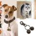 Micro Traders Brass Pet Bell Tracker for Dogs and Cats - Collar Pendant Charm for Pets - Harness Training Bell - Buy Online on GoSupps.com