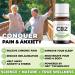 CB2 OIL WELLNESS - Extra Strength for Natural Pain Relief/Inflammation and Anxiety/Stress. Stronger and More Effective Than Hemp Oil / Hemp Gummies. Enhances Sleep/Mood. Feel Calm and Relaxed. Feel Like Your True Self Again! 5mL 5 ML - Buy Online on GoSupps.com