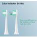 Gypoirul Toothbrush Replacement Heads - 10 Pack Compatible with Philips Sonicare 4100 5100 6100 HX9023, Optimal Plaque Control, Green - Buy Online on GoSupps.com
