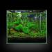 SENZEAL 10pcs Aquarium Plants Mesh - Stainless Steel Moss Pads for Fish Tanks | Ideal Aquatic D cor - Buy Online on GoSupps.com