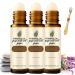 3Pcs The Express Anti-Wrinkle Instant Lifting Effect Under Eye Roller Ball Essence for Dark Circles Eye Bags & Puffiness Hydrating for Women & Men