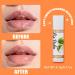 12 Flavor Natural Lip Balm Set Moisturizing Lip Care Variety Pack with Cherry Coconut Aloe Vera Honey & More Organic Hydrating Lip Moisturizer for Dry Cracked Lips Safe for All Ages - Buy Online on GoSupps.com