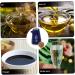 ABOOFAN Ceramic Soy Sauce Pot Vinegar Cruet Decorative Vinegar Container Oil and Vinegar Soy Sauce Holder Empty Olive Oil Ceramic Olive Bottle Multifunction Tanker Ceramics - Buy Online on GoSupps.com