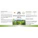 Herbadirekt Saw Palmetto Extract 300mg with Beta-Sitosterol | 250 Capsules | Premium German Pharmacy Quality - International Shipping Available - Buy Online on GoSupps.com