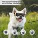 Buy UV Protection Mini Dog Sunglasses - Windproof Anti-Fog Gold - Perfect for Small Dogs - Buy Online on GoSupps.com
