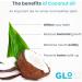 GLO32 Advanced Teeth Whitening System: 28 Strips + 1 Pen, Gentle Stain Remover with Coconut Oil, Vegan & Cruelty Free - Peroxide Free, Effective in 20min - Buy Online on GoSupps.com
