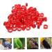 BESPORTBLE 100 Pcs Pigeon Anklet Baby Products Identification Perches Stuff Plastic Bird Ankle Ring Red Chicken 1.3X1.3CM Red - Buy Online on GoSupps.com