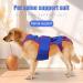 Dog Back Brace - Dog Braces for Back Leg for Support | Pet Support and Rehab Harness Dog Back Brace for Dogs | D-Ring and Reflective Strips Back Protector Support Helps Hurt Relief Dogs Back XL - Buy Online on GoSupps.com