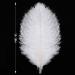 White Ostrich Feathers - 16-18 inch 10pcs for Vase Wedding Centerpieces - Home Decor - Buy Online on GoSupps.com