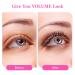 Q&D LASH Easy Fan Eyelash Extensions - C/CC/D/DD/L/M Curl 0.03/0.05/0.07 | 8-25mm Mixed Tray | Automatic Blooming Flower Lashes | CC-0.07-10mm - Shop Internationally - Buy Online on GoSupps.com