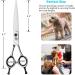 Buy Purple Dragon Dog Shears - 7 Professional Straight Fur Scissors for Dogs & Cats | Japanstahl-440c | Ideal for Groomers & Beginners - Buy Online on GoSupps.com