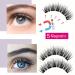 Dual Magnetic False Eyelashes Set - Reusable, Natural Look, No Glue or Eyeliner Required - Lightweight and Easy to Wear - 2 Pairs - Buy Online on GoSupps.com