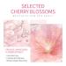 Cherry Blossoms Skin Care Set for Women & Girls | Complete Beauty Gift Kit with Cleanser Serum Cream Toner & Eye Cream - Buy Online on GoSupps.com