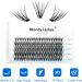 D Curl 0.07mm Mixed Cluster Lashes 8-16mm | 30 Root Individual Eyelash Extensions - Buy Online on GoSupps.com
