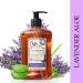 A LA MAISON Lavender Aloe Liquid Hand Soap - Triple French Milled Natural Moisturizing Soap (3 Pack 16.9 oz) - 16.9 Fl Oz x 3 - Buy Online on GoSupps.com