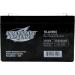 Interstate Batteries Power Patrol 6V 10Ah Battery (SLA0955) Sealed Lead Acid Rechargeable SLA AGM (F1 Terminal) UPS Power Solutions Fire & Security Systems Emergency Lighting