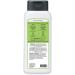 J.R. Watkins Aloe and Green Tea Body Wash - 18 Ounce - Daily Moisturizing Formula - Buy Online on GoSupps.com