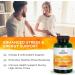 Swanson Vitamin B-Complex with Vitamin C - Stress Relief & Energy Support - 100 Capsules - Buy Online on GoSupps.com