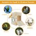 CooShou Parakeet Nest Box - Wooden Acrylic Transparent Breeding House for Lovebirds, Cockatiels, Budgies, Conures, Parrots - Buy Online on GoSupps.com