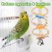 BWOGUE 7 Pack Bird Parrot Toys - Natural Wood Chewing, Hanging Swing, Climbing Ladders - Small Parakeets, Cockatiels, Conures, Finches, Budgie, Parrots, Love Birds - Buy Online on GoSupps.com