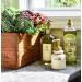 Fruits & Passion Cucina Sea Salt & Amalfi Lemon Luxury Hand Soap with Olive Oil - 16.9 fl oz - Buy Online on GoSupps.com