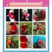 Izefia Dog Hooded Sweater - Warm Cotton Jacket for Small & Medium Dogs - Rose Red XS | Stylish PET Clothing - Buy Online on GoSupps.com