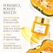 BYROE Pumpkin Pro-Retinol Anti Aging Face Cream | Vegan Hydrating Formula with Eco Ceramides & Bakuchiol | Reduce Fine Lines & Wrinkles - 50ml - Buy Online on GoSupps.com