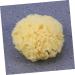 Didiseaon Sponges Bath Sponge Bath Shower Sponge Seaweed Sponge Honeycomb Algae Sponge Baby - Buy Online on GoSupps.com