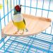 Mrli Pet Bird Perch Platform Stand Wood for Small Animals Parrot Parakeet Conure Cockatiel Budgie Gerbil Rat Mouse Chinchilla Hamster Cage Accessories Exercise Toys Sector 17x17 cm