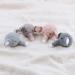 Baby Pacifier Clip DIY Crochet Elephant Teething Toy Rattle Teether Shower Gift - 6-12 Months - Buy Online on GoSupps.com