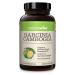 NatureWise Pure Garcinia Cambogia (2 Month Supply) 100% Natural HCA Extract Concentrated to 60% to Support Metabolic Processes and Discourage Cravings with Superior Absorption (180 Count) 180 Count (Pack of 1)