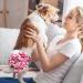 High-Suction Washable Dog Diapers for Bitches - 2 Pack | Ultimate Leak Protection - Buy Online on GoSupps.com