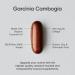 Garcinia Cambogia Extract (60% HCA) with Organic Coconut Oil | 180 Liquid Softgels - Non-GMO, Soy & Gluten Free - Buy Online on GoSupps.com