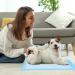 Super Absorbent Waterproof Dog Training Pads - 100 Count Extra Small 28 x 30 Hausbreaking Pet Pads - Ideal for Puppies - Blue XL 71x76cm - Buy Online on GoSupps.com
