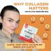 GoBeDo Collagen Protein Chips First Collagen-Based Snack 13g Protein Low Carb Keto Friendly Healthy Chips & Crisps Alternative to Collagen Powder Gluten-Free 10 Bags Variety Pack - Buy Online on GoSupps.com