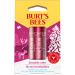 BURTS BEES Kissable Color Lip Shimmer Holiday Gift 1 EA