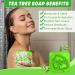Antifungal Antibacterial Tea Tree Soap Organic Natural Soap Bar Handmade Tea Tree Loofah Soap for Face and Skin Scrub Tea Tree Soap Bar Antifungal Antibacterial Treatment Soap for Anti-Acne - Buy Online on GoSupps.com