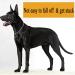 Durable Metal Choke Chain Dog Collar for Outdoor Training - Small, Medium, Large Sizes - Adjustable Silver Necklace - L 65cm, 4.0mm Diameter - Buy Online on GoSupps.com