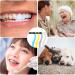 OUZHOU Tartar Remover | 4 Pack Teeth Whitening Toothbrush Stain Remover for Discoloration | International Shipping Available - Buy Online on GoSupps.com