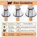 Vivifying Halskrause Dog Collar - Light Plastic Elizabethan Collar for Cats Small Dogs & Rabbits (Black L) | 22.8-26.9cm - International Shipping Available - Buy Online on GoSupps.com