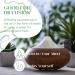 Pure Jasmine Essential Oil 4 fl. Oz - Natural Aromatherapy for Hair, Skin, and Massage - DIY Perfume - Green Jasmine Scent - Buy Online on GoSupps.com