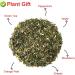 Plant Gift Strawberry Green Tea Oganic Fruit Herbal Tea All Natural Flavors Loose Leaf Apple Strawberry Orange Peel Grapes Peppermint Non GMO Vegan Tea Bags Into Iced Tea & Hot Tea 70G/2.5oz - Buy Online on GoSupps.com