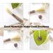 HBINGL Silvervine Chew Sticks for Cats 4 pcs Brown Catnip Chew Sticks for kitten Cat Teeth Nip Cleaning Teeth Chew Catnip Toys Natural Cat Teeth Nip Cleaning Catnip for Indoor Cats - Buy Online on GoSupps.com