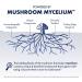Host Defense MycoBotanicals Immune* Powder - Immune System Powder - Immune & Gut Health Support Supplement - Herbal Powder Supplement with Chaga Reishi & Turkey Tail - 3.5 oz (32 Servings)* - Buy Online on GoSupps.com