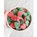 PANDY Candy SWEET HEARTS - Raspberry & Pear Gummy Candies Bag Only 1g Sugar & 80 Calories 1x50g (Pack of 2) 50 g (Pack of 2) - Buy Online on GoSupps.com