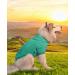 Kickred Cotton Dog Hoodie Sweater - 2XL Turquoise & Dark Blue - Pet Clothes for Small to Large Dogs - Buy Online on GoSupps.com